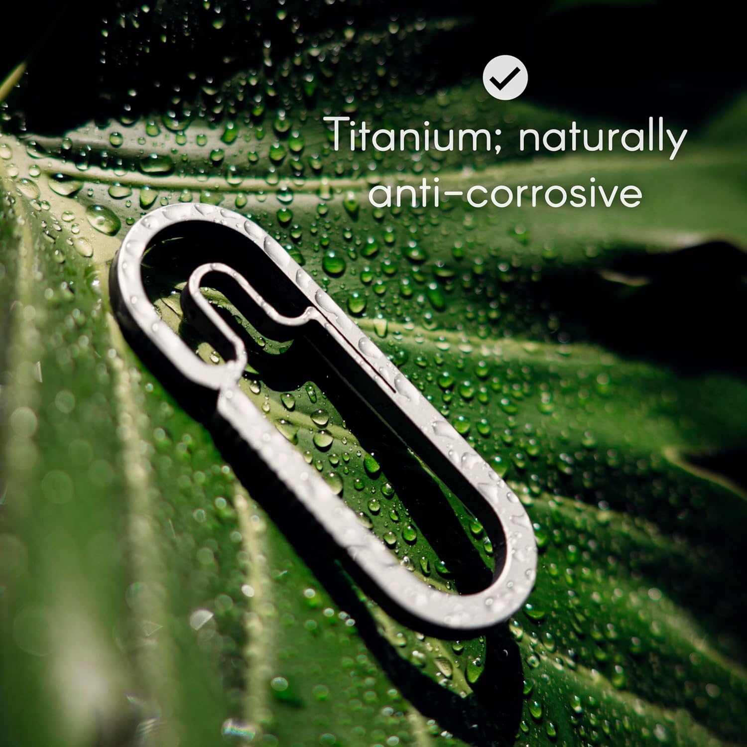 MØTH | Baxter Titanium Carabiner Keychain – Ultralight for Everyday Carry, Hiking & Backpacking – Multi-Purpose, Durable Survival Gear & Camping Essentials - Image 4